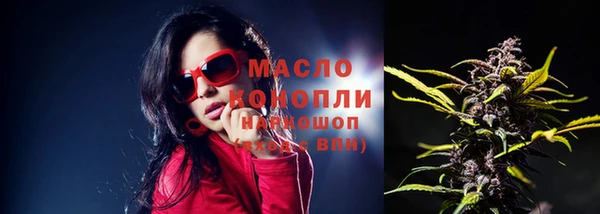 амф Пересвет