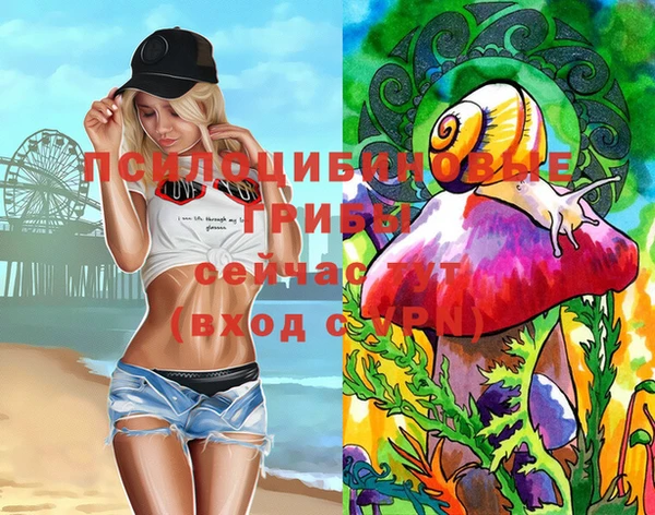 амф Пересвет