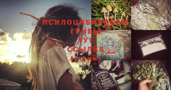 амф Пересвет