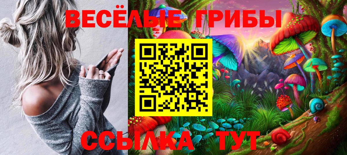 Белогорск  Псилоцибиновые грибы Magic Shrooms  купить наркотики цена  Вход с VPN 